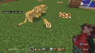 Ocelot kittens will trust the player immediately in Bedrock Edition (Image via Mojang)